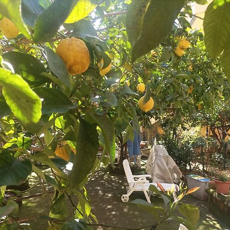 Готель Il Giardino Nascosto Неаполь Екстер'єр фото