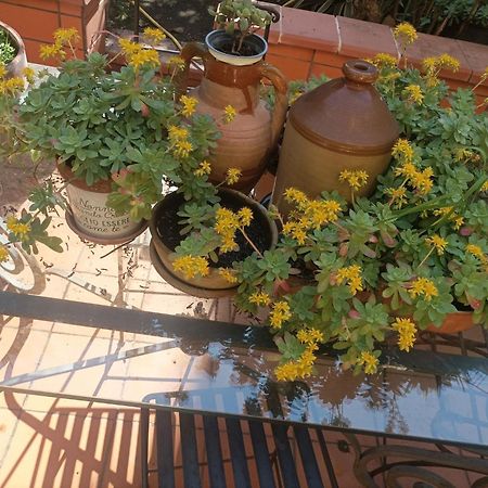 Готель Il Giardino Nascosto Неаполь Екстер'єр фото