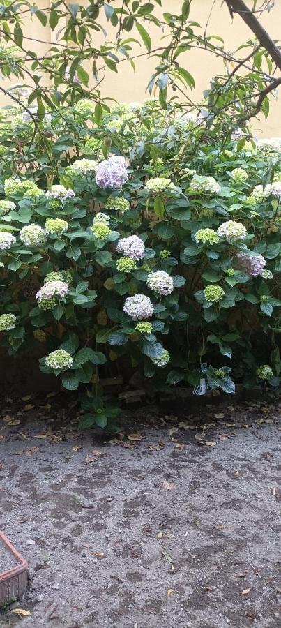 Готель Il Giardino Nascosto Неаполь Екстер'єр фото