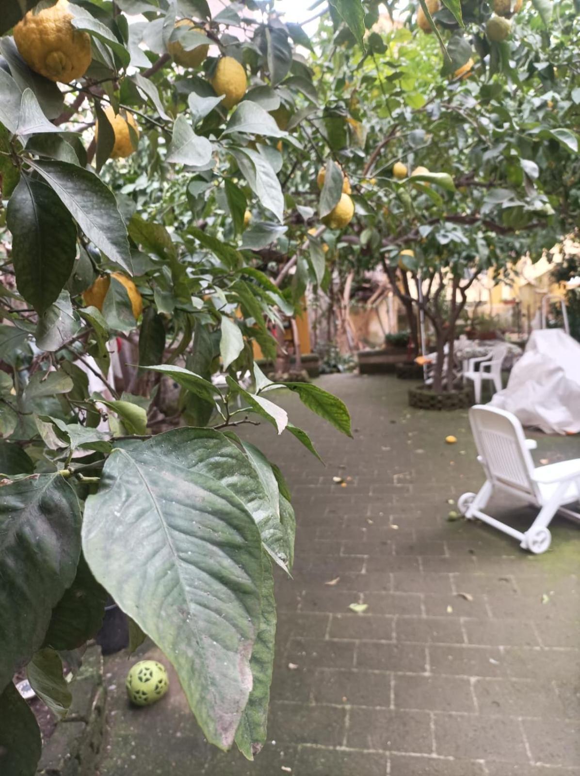 Готель Il Giardino Nascosto Неаполь Екстер'єр фото